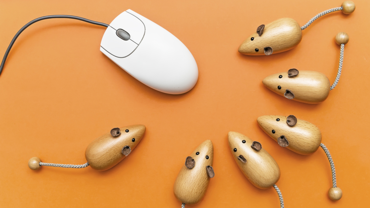 選對成員，造就成功虛擬團隊