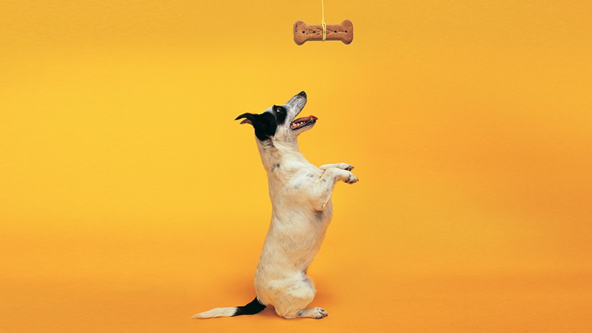 公司何時不該投資員工培訓