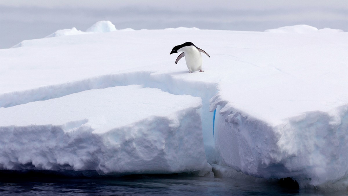 何時該相信直覺做出重大決定