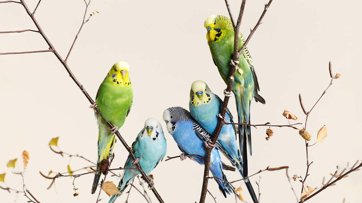 當公司像家庭，員工會對不法保持沉默