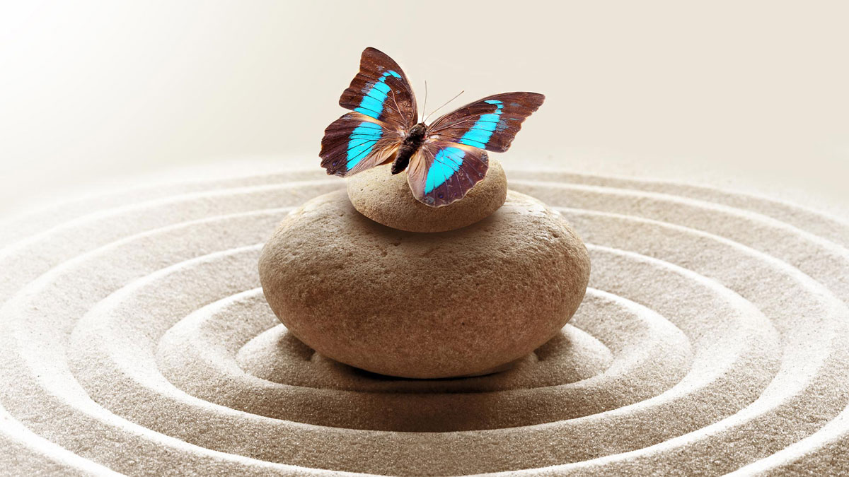 別陷入無事空忙的窘境！要活得踏實，你需要養成「臨在」