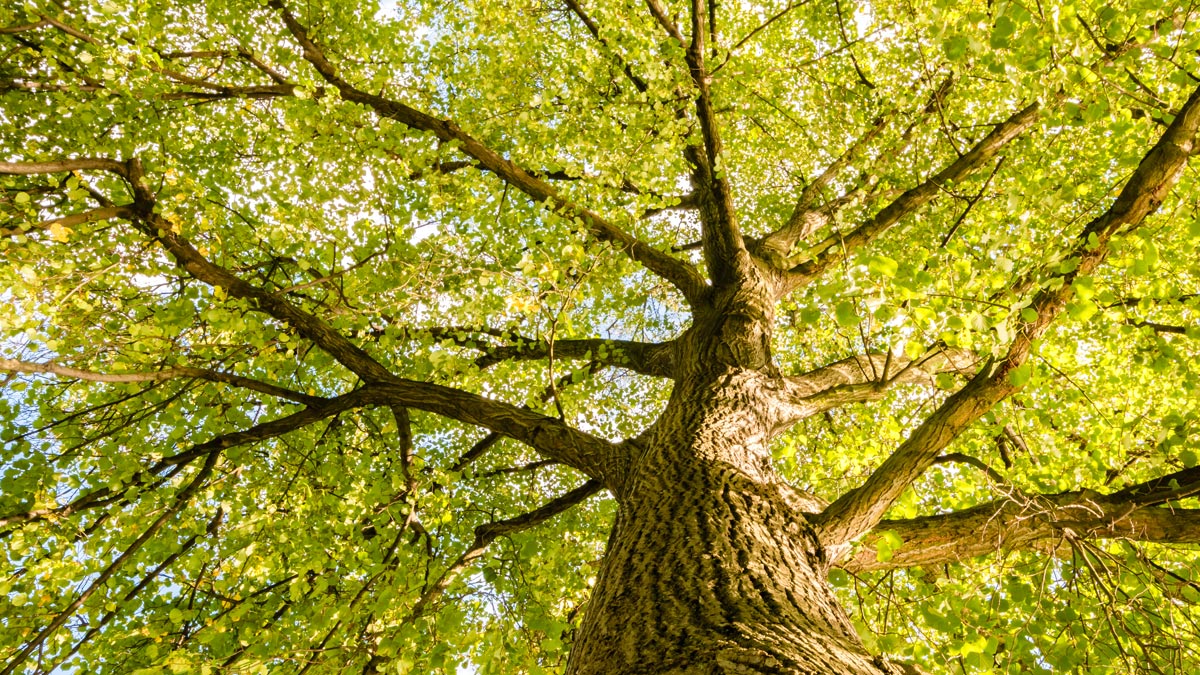 追求integrity的企業文化