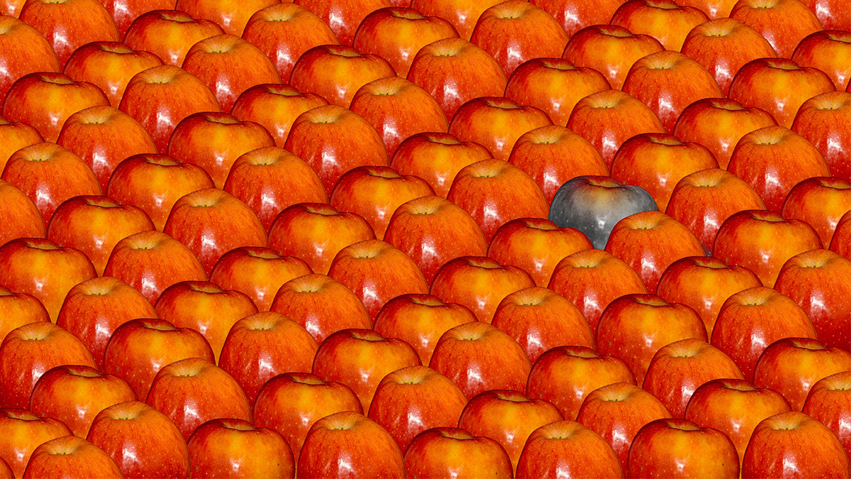 別讓害群之馬拖垮團隊