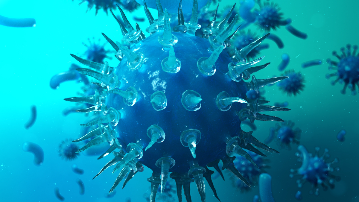 病毒式廣告再進化