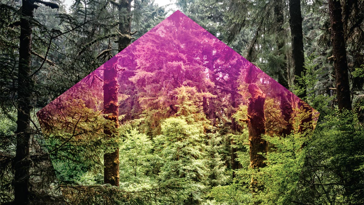 讓團隊說到做到