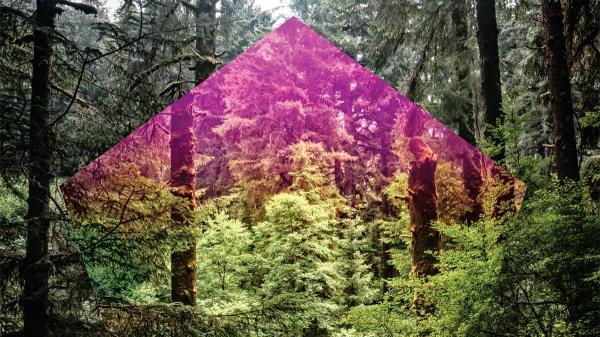 讓團隊說到做到