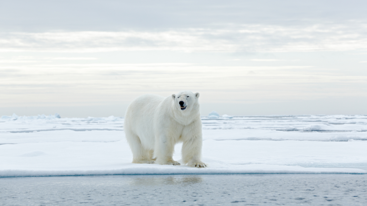 不要快速發展職涯
