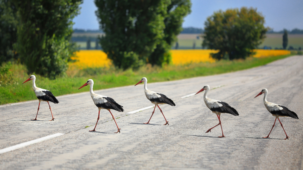 你需要的是社群，不是人際網絡而已