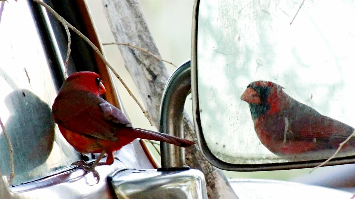 提升自我覺察力的五大法門