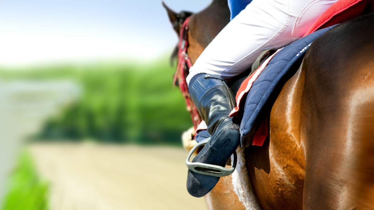 不賭馬，賭騎士