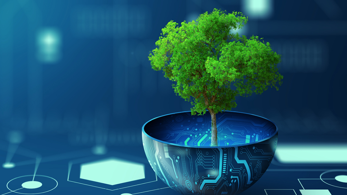 虛擬組織：培育創新生態環境的沃土