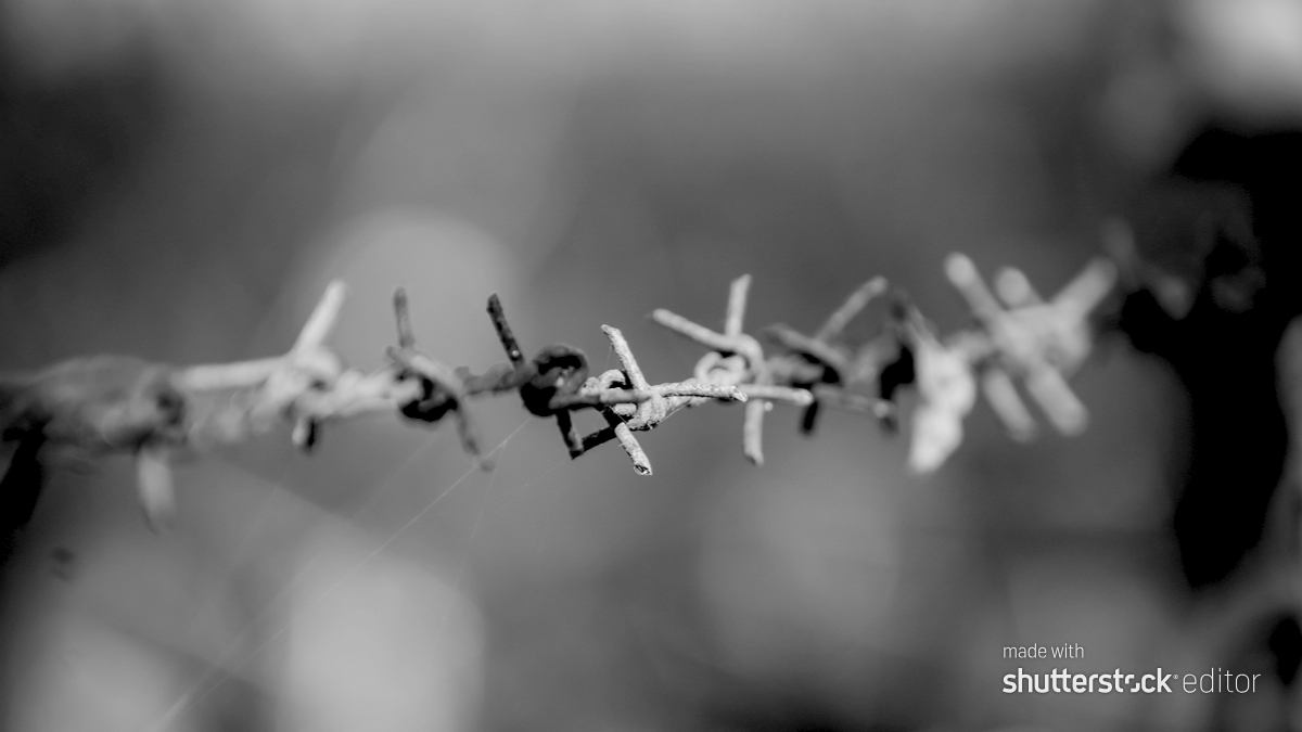 走在內部創業鋼索上