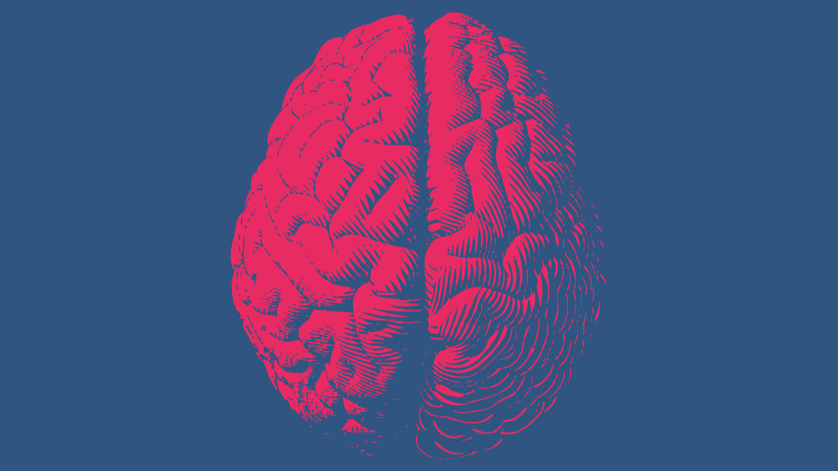 科學魔法打造贏家團隊