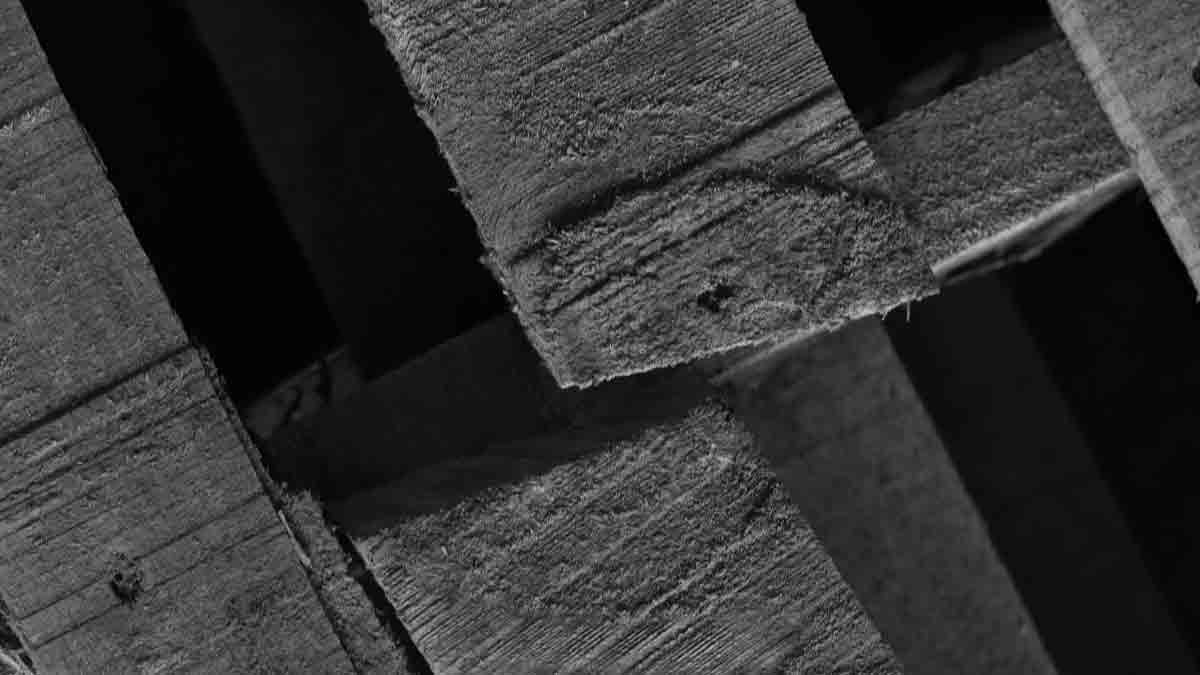 如何降低改造組織的失敗率？