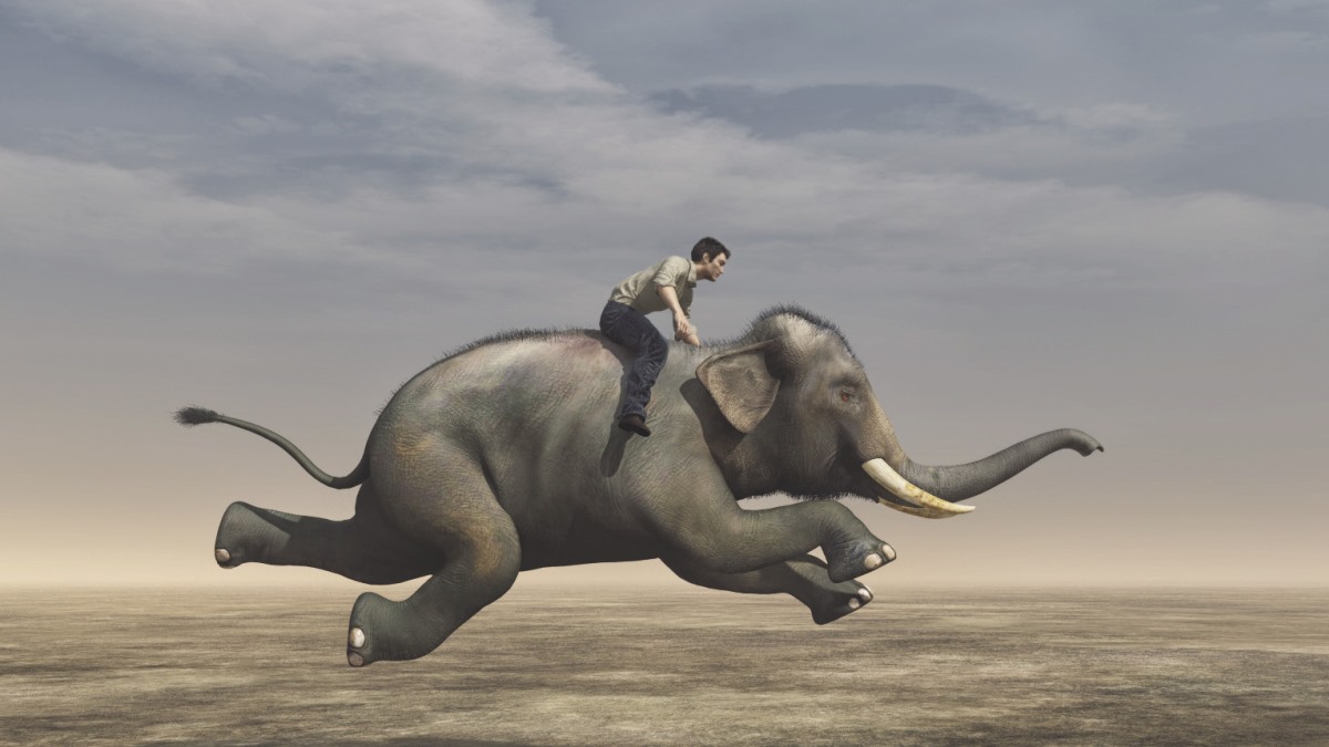 把高層變敏捷的三大做法