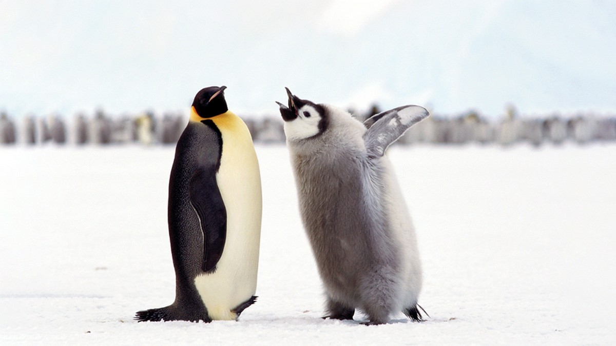 員工犯錯時該說什麼