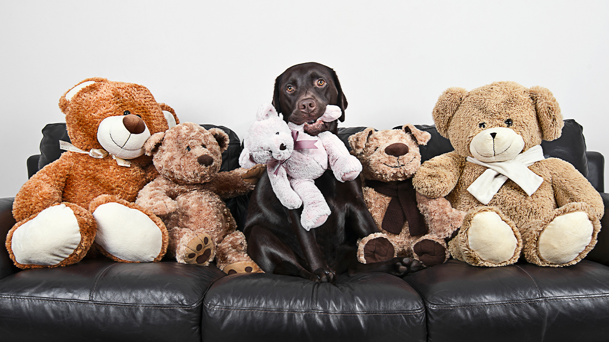 建立強大的員工引薦計畫