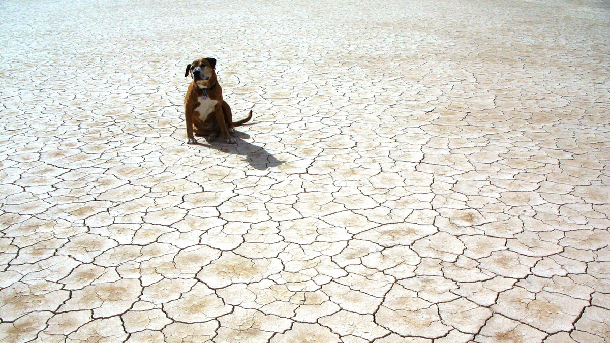 國力資源的盤點與有效配置