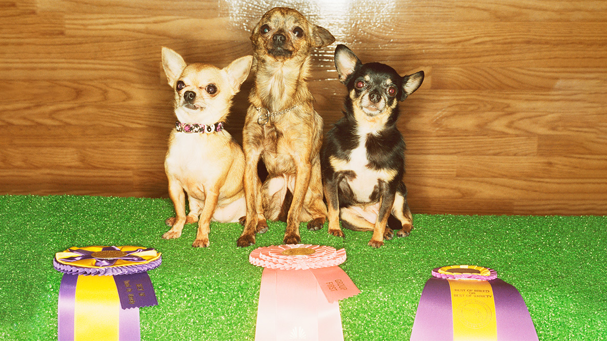 想聘對員工，先釐清如何定義成功