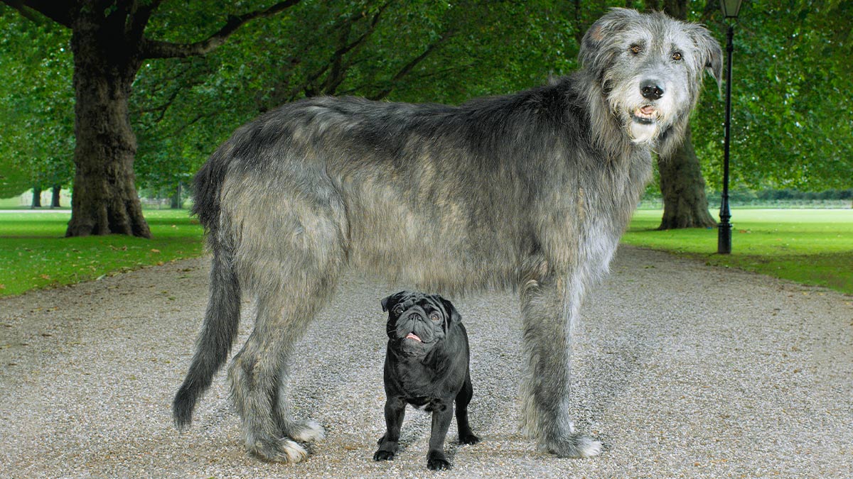 別小看自己在工作上的影響力