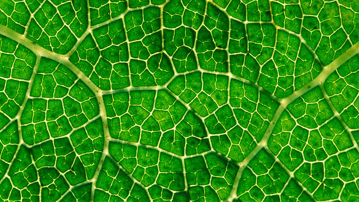 如何在組織中培養並保留深度智慧