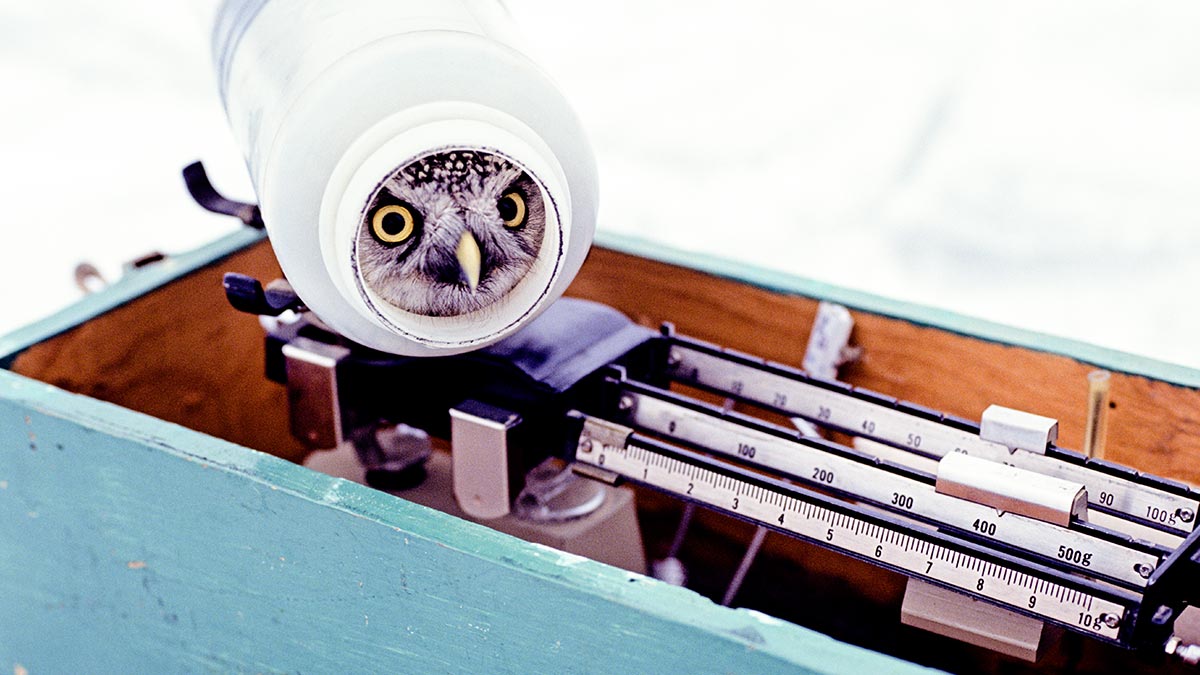 2018年必須注意的十個行銷趨勢