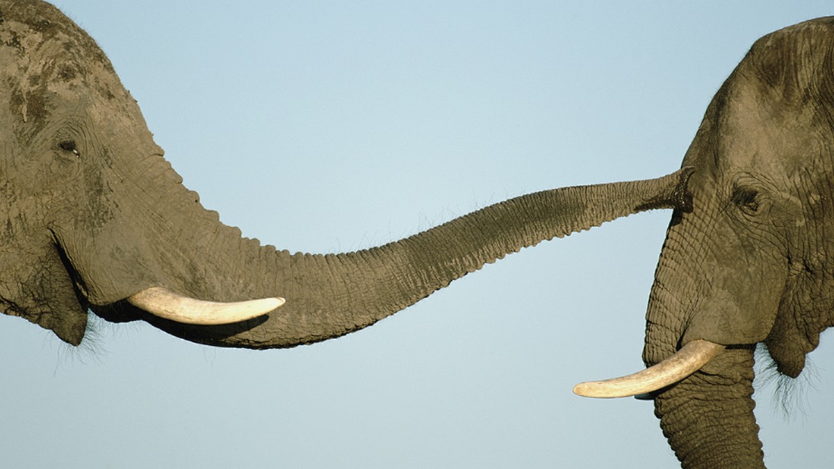 和部屬太好，對組織可能不好