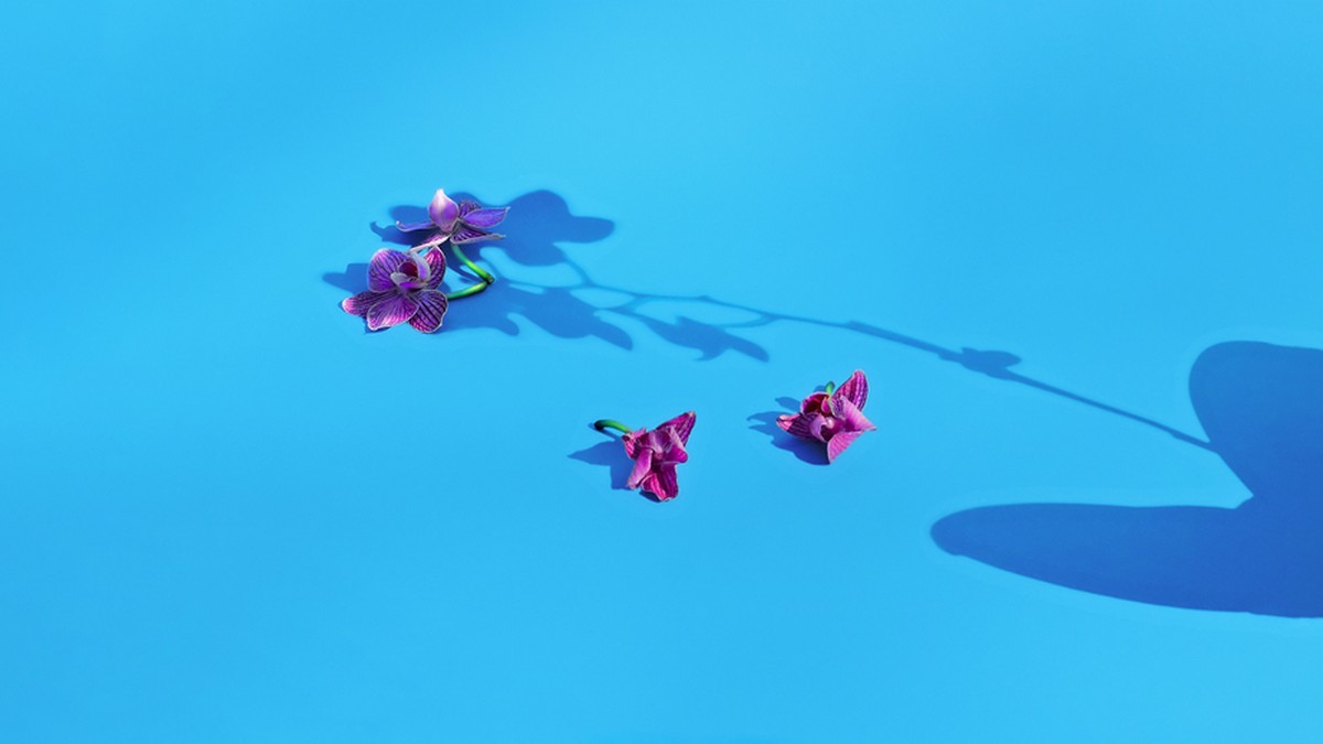 失去導師該怎麼辦？