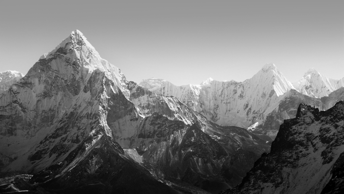 企業領導人應該注重業績或員工？