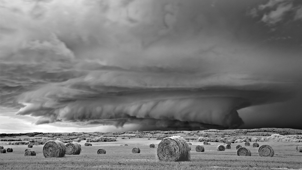 化解職場中的政治對立