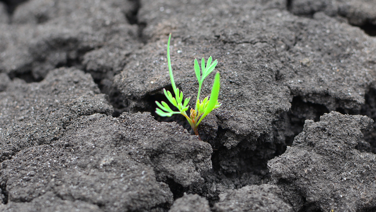 打造目的影響力