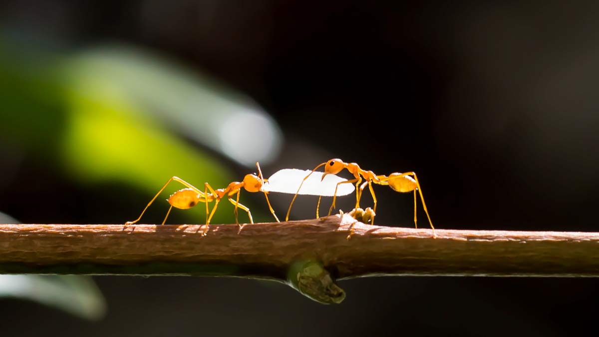 慷慨助人拚事業