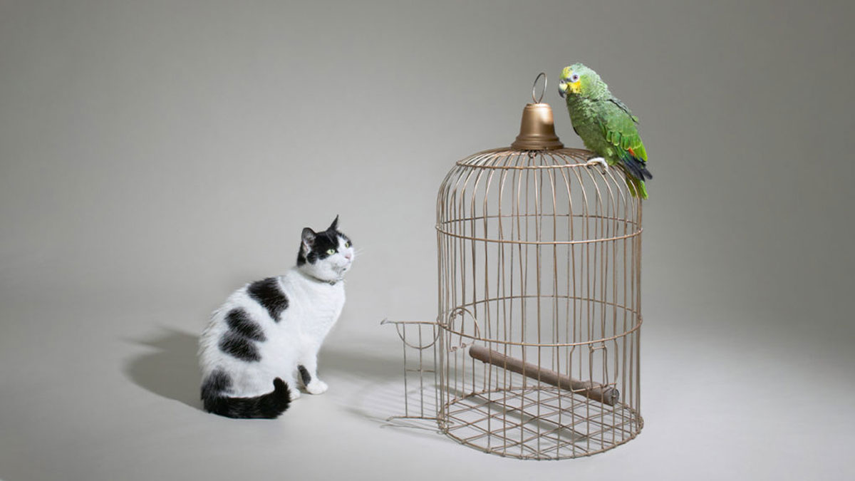 展現同理心，讓談話不再棘手