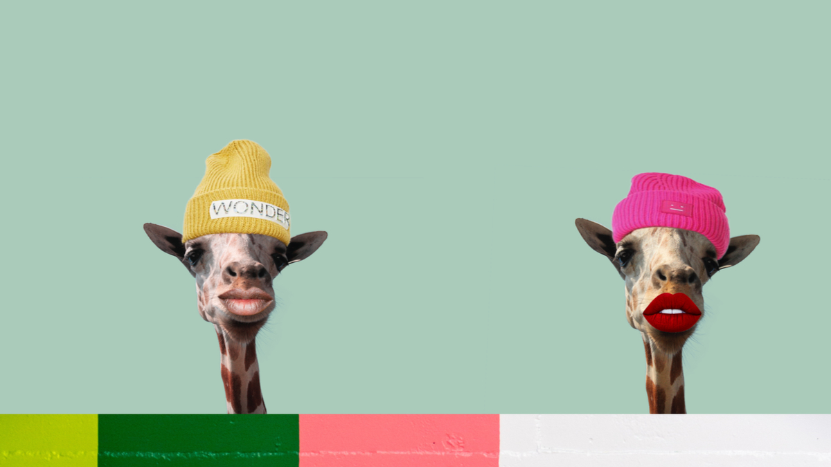 如果你的領導者離開，要先保存公司的故事