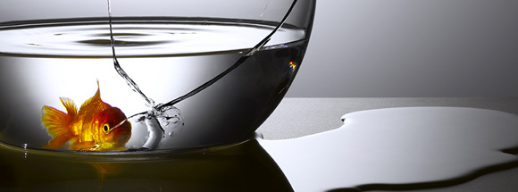 中型企業能撐過現金危機