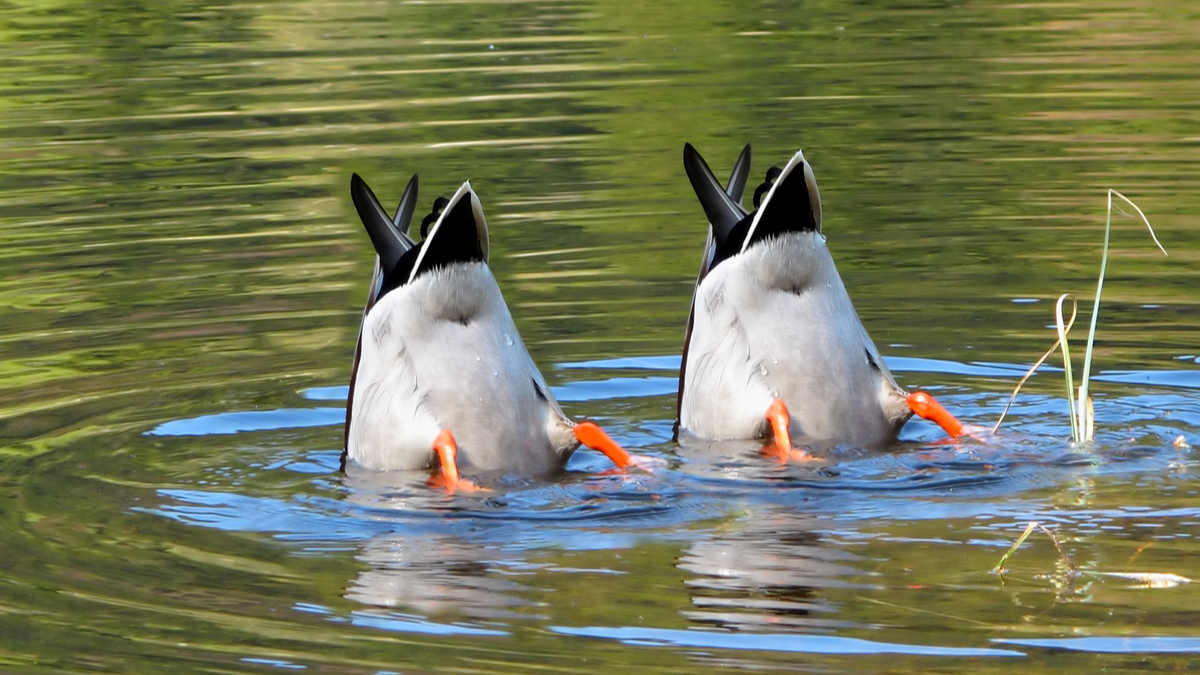 接手團隊時應避免的錯誤