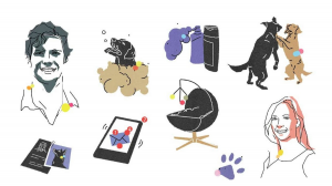 創辦人想喊「卡」！新創公司的下一步？