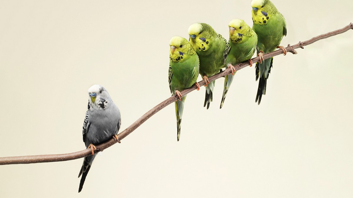 四步驟管理表現不佳的家族企業成員