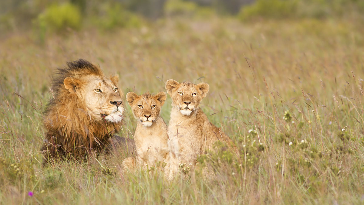 挑選接班人，是領導人必修學分