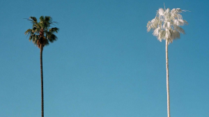 準接班人離職魔咒