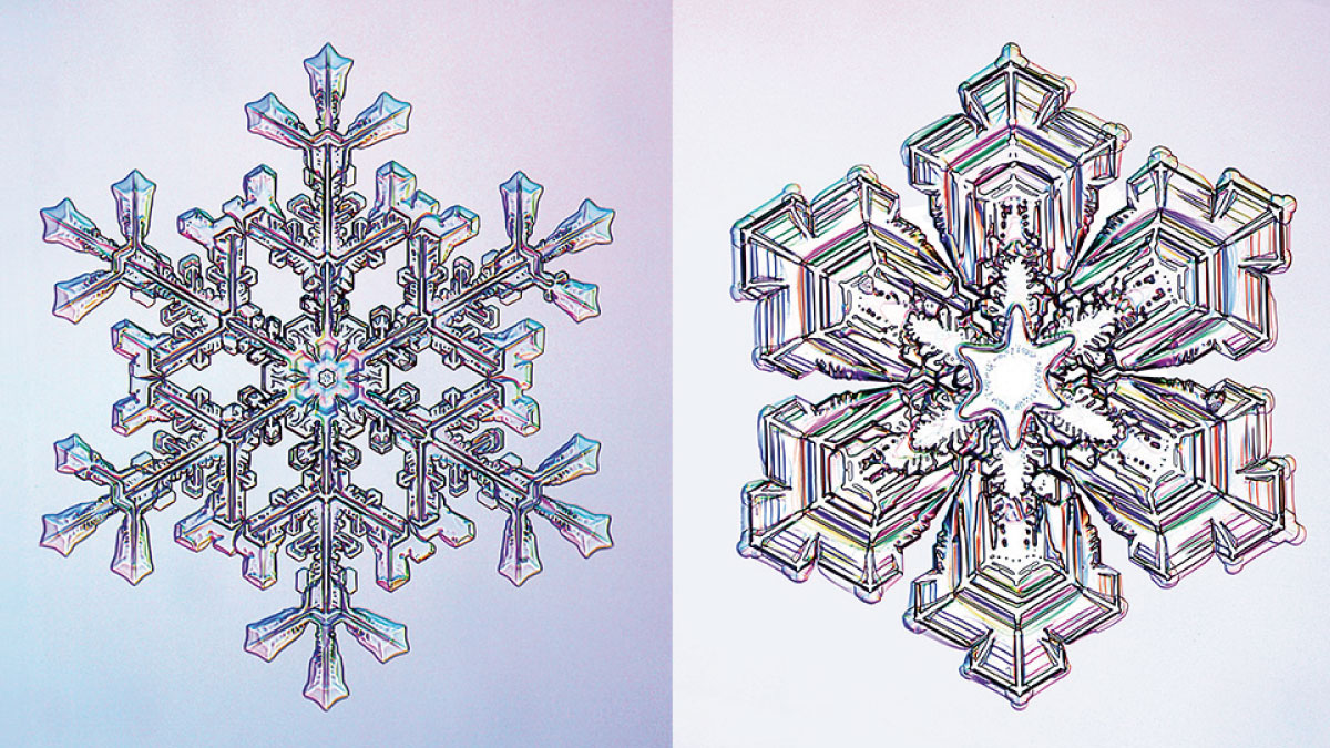 異常是我的創新導師：把「市場驚奇事件」化為策略優勢