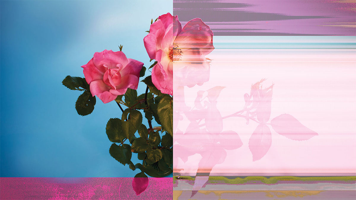 你需要AI道德委員會的理由