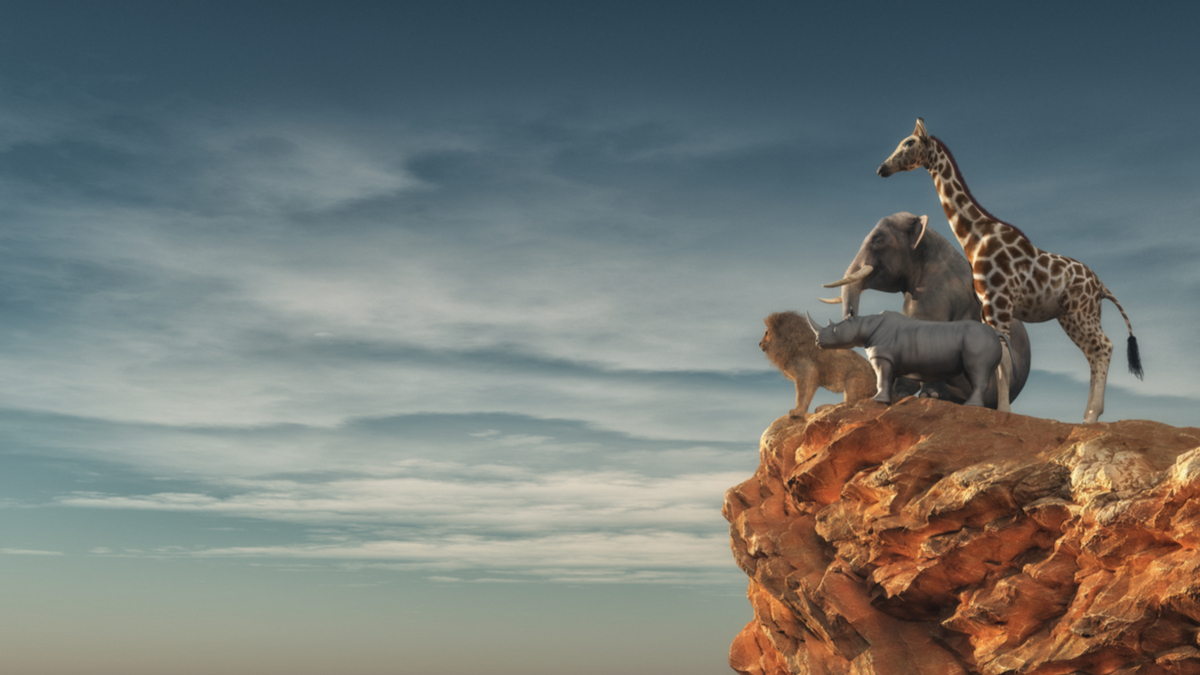 應先知道該揚棄什麼，才能向前邁進