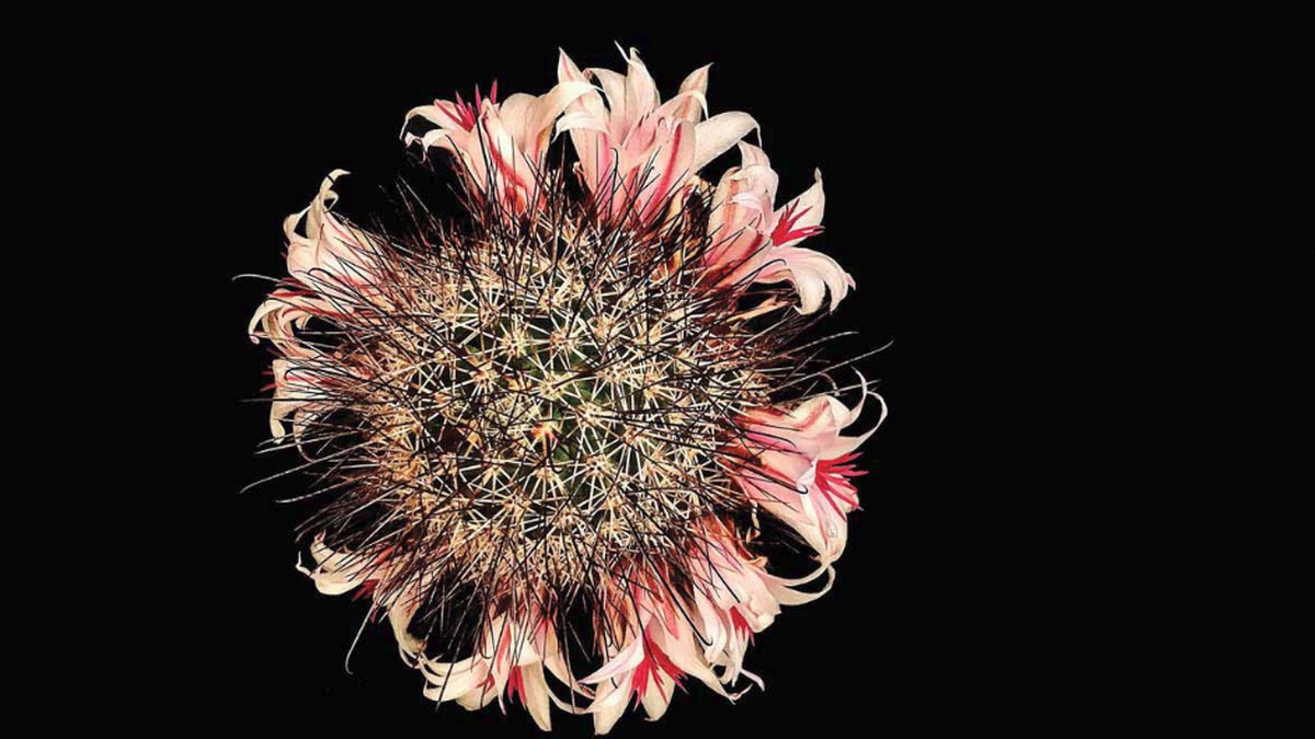 從福斯到優步都無法迴避的道德問題》設計零醜聞組織