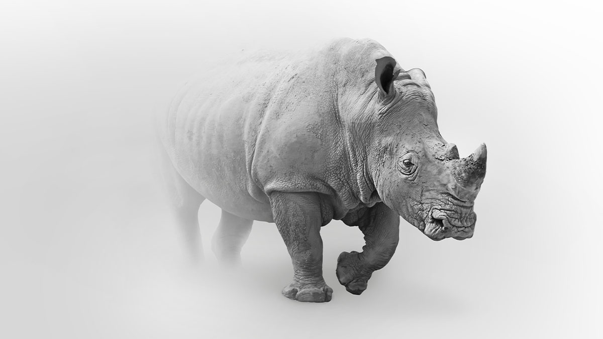 成為高績效團隊的重要關鍵：培養「風險同理心」