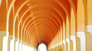 新官上任就上手