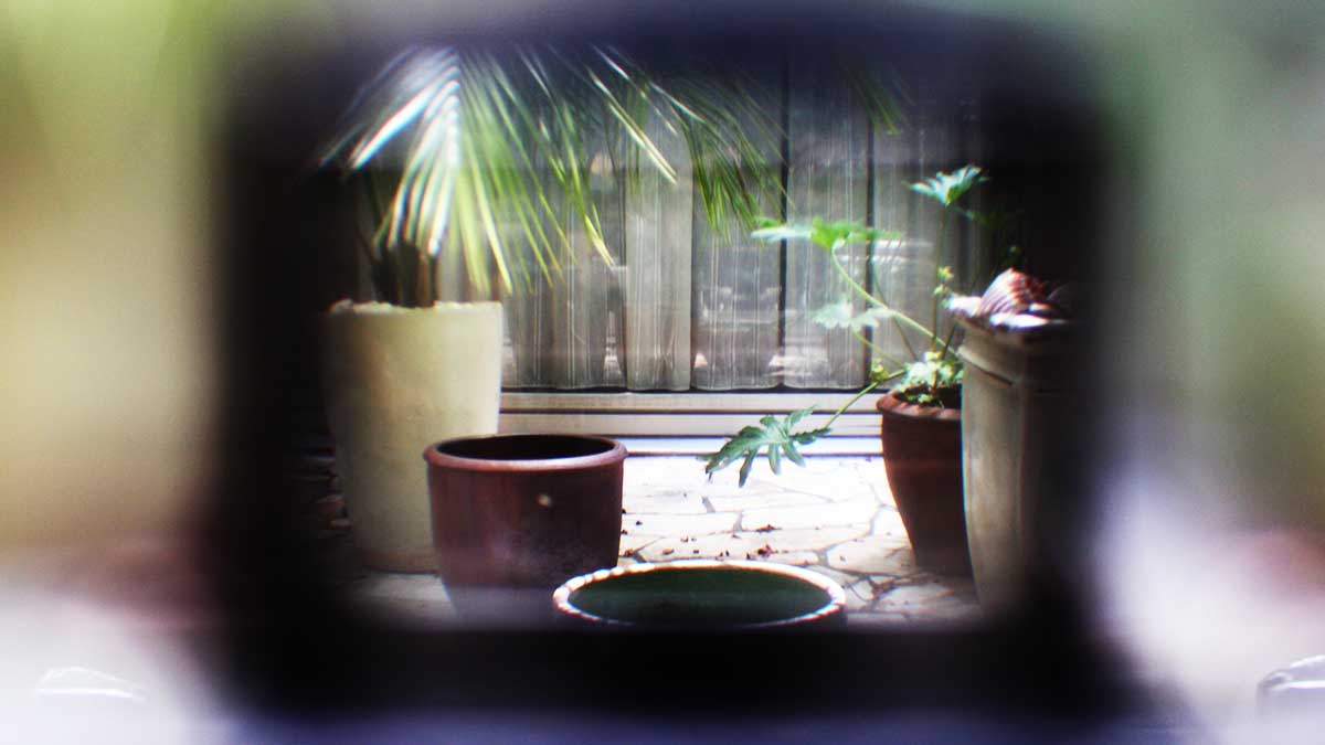 傑出攝影家可以教領導人的事