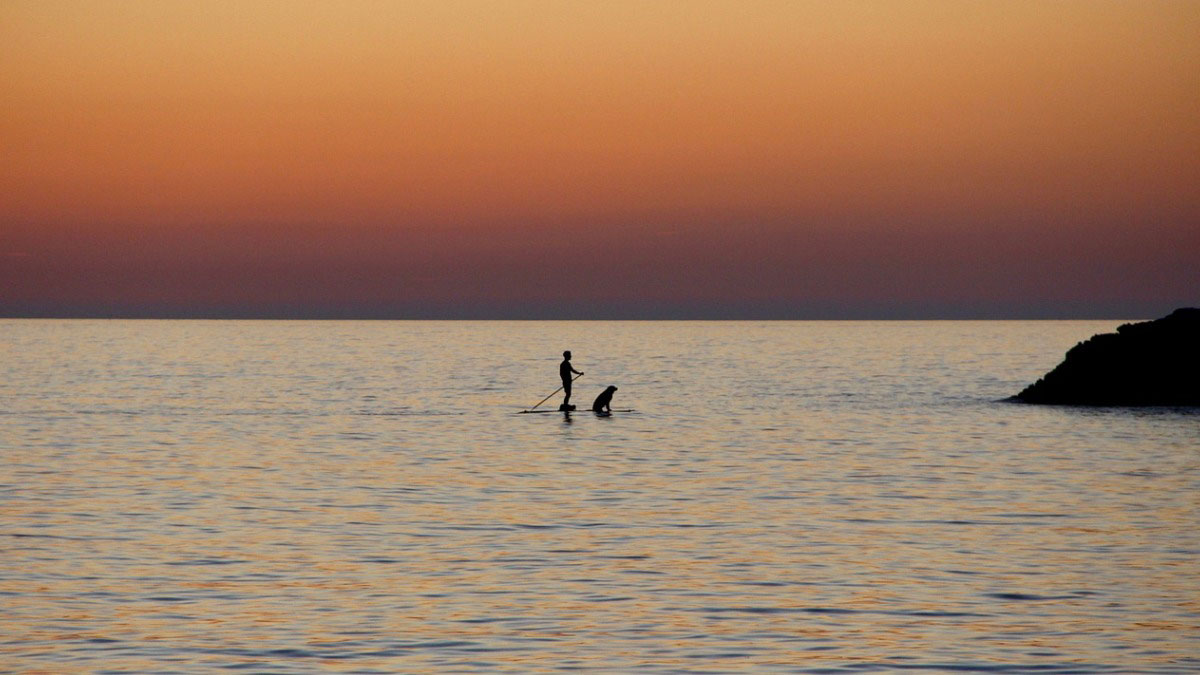 四個衝突管理技巧，化干戈為玉帛