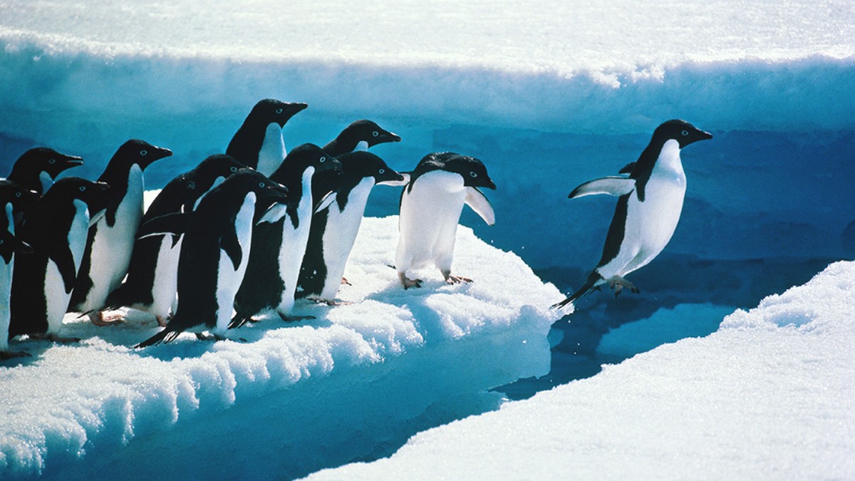 銷售領導人如何「愈陳愈香」？