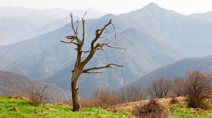 何時該甩開賠錢客戶